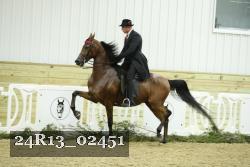 24R13_02451 thumbnail