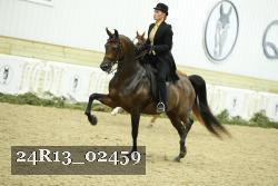 24R13_02459 thumbnail