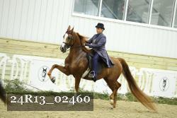 24R13_02460 thumbnail