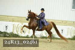 24R13_02461 thumbnail