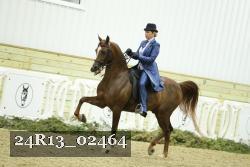 24R13_02464 thumbnail