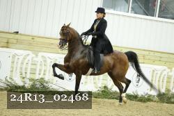 24R13_02468 thumbnail