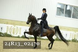 24R13_02470 thumbnail