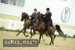 24R13_02471 thumbnail