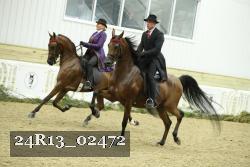 24R13_02472 thumbnail