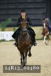 24R13_02480 thumbnail