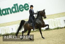 24R13_02481 thumbnail