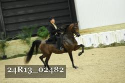 24R13_02482 thumbnail
