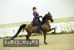24R13_02485 thumbnail