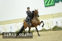 24R13_02486 thumbnail