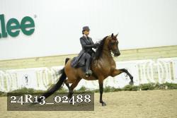 24R13_02488 thumbnail
