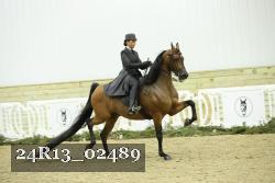 24R13_02489 thumbnail