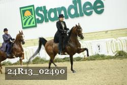 24R13_02490 thumbnail
