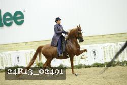 24R13_02491 thumbnail