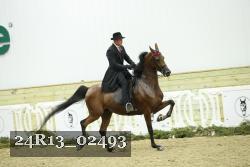 24R13_02493 thumbnail