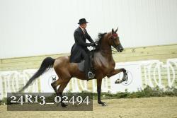 24R13_02494 thumbnail