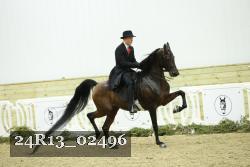 24R13_02496 thumbnail
