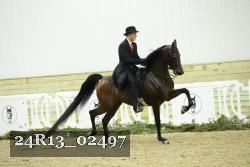 24R13_02497 thumbnail