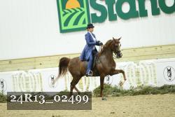 24R13_02499 thumbnail