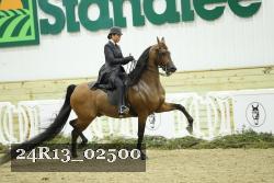 24R13_02500 thumbnail