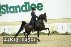 24R13_02501 thumbnail