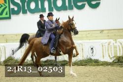 24R13_02503 thumbnail