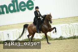 24R13_02507 thumbnail