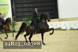24R13_02508 thumbnail