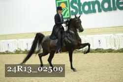 24R13_02509 thumbnail
