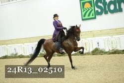 24R13_02510 thumbnail