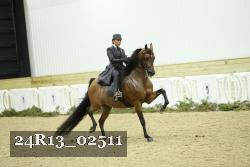 24R13_02511 thumbnail