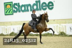 24R13_02512 thumbnail