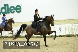 24R13_02513 thumbnail