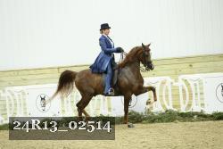 24R13_02514 thumbnail