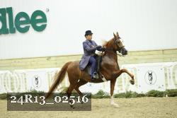 24R13_02516 thumbnail