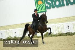 24R13_02517 thumbnail