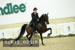 24R13_02518 thumbnail