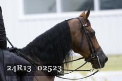 24R13_02523 thumbnail