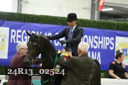 24R13_02524 thumbnail