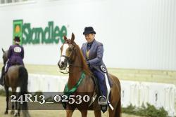 24R13_02530 thumbnail