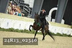 24R13_02540 thumbnail