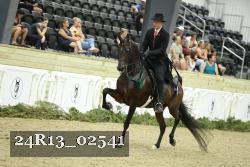 24R13_02541 thumbnail