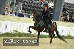 24R13_02542 thumbnail