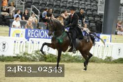 24R13_02543 thumbnail