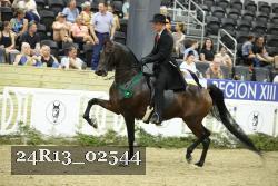 24R13_02544 thumbnail
