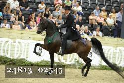 24R13_02545 thumbnail