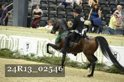 24R13_02546 thumbnail