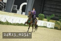 24R13_02547 thumbnail
