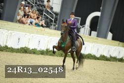24R13_02548 thumbnail
