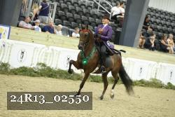 24R13_02550 thumbnail